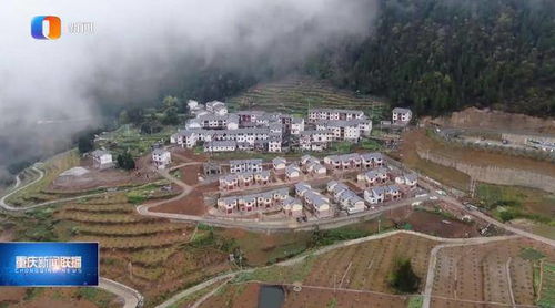 府谷县的骄傲,田小宁的奋斗与成就