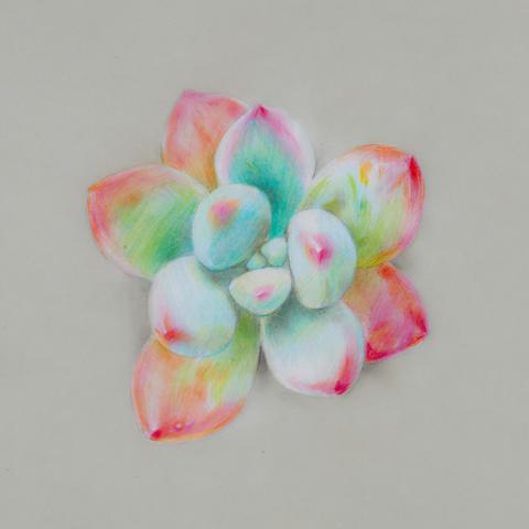 生活之美,简单绘画图片大全,让你的日常生活充满艺术气息