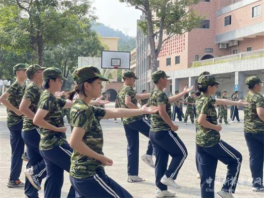 高中生活,青春的试炼与成长