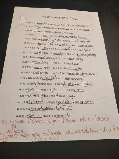 高中生活经验的英语作文,探索成长的足迹