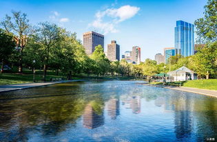 宁北苏清荷,都市生活中的诗意栖居