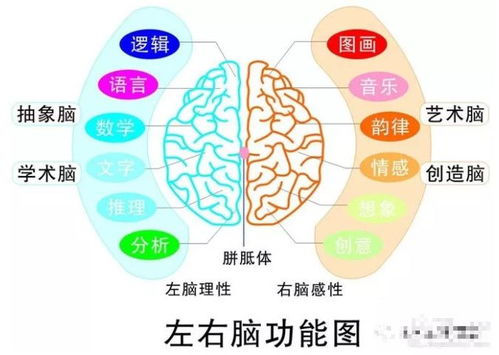 生活经验，智慧的结晶与成长的阶梯