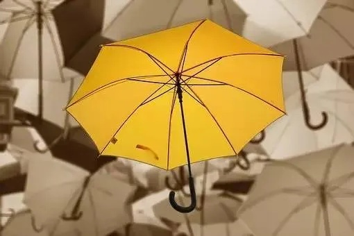 生活常识，提升生活质量的隐形翅膀