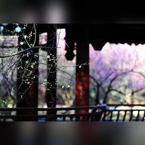 日常生活中的成语智慧，常用成语及其解释