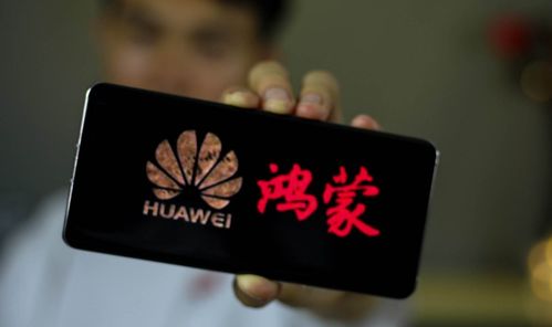 小宁改改，如何通过自我改造成为生活达人