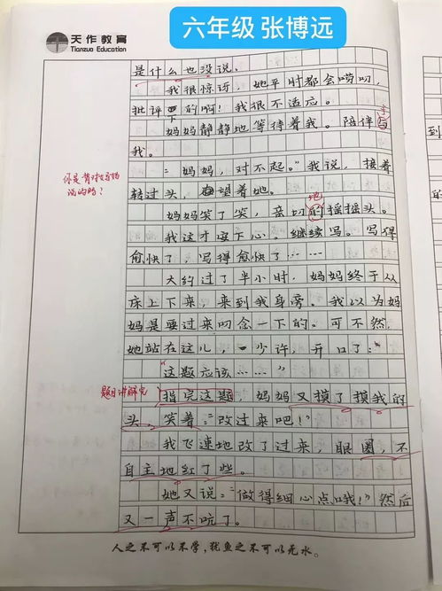 一年级的奇妙世界，生活常见词语大揭秘