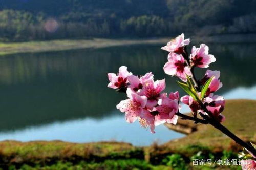 生活，一首诗歌，一段人生