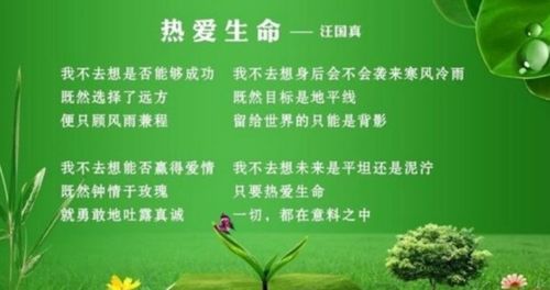 生活—汪国真诗歌朗诵的艺术魅力与生活哲思